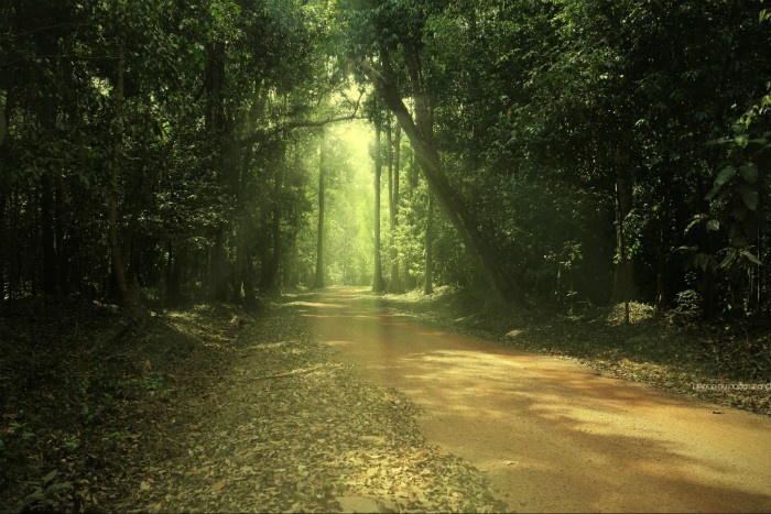 Rừng Mã Đà: Thiên đường trekking hoang sơ và huyền bí