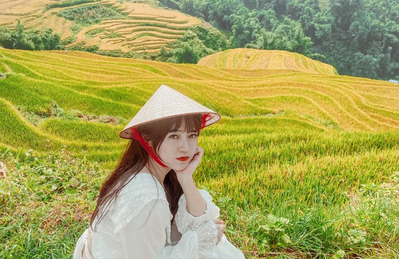mùa lúa chín Tây Bắc