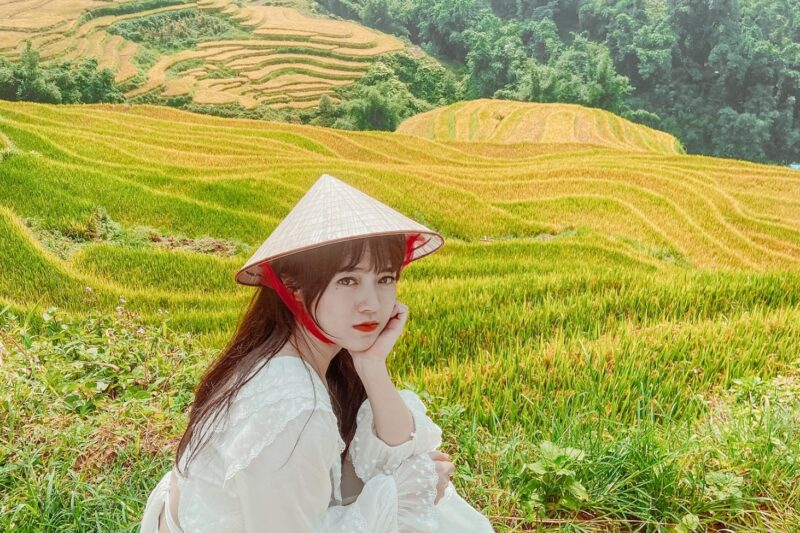 Thời điểm “vàng” săn mùa lúa chín Tây Bắc