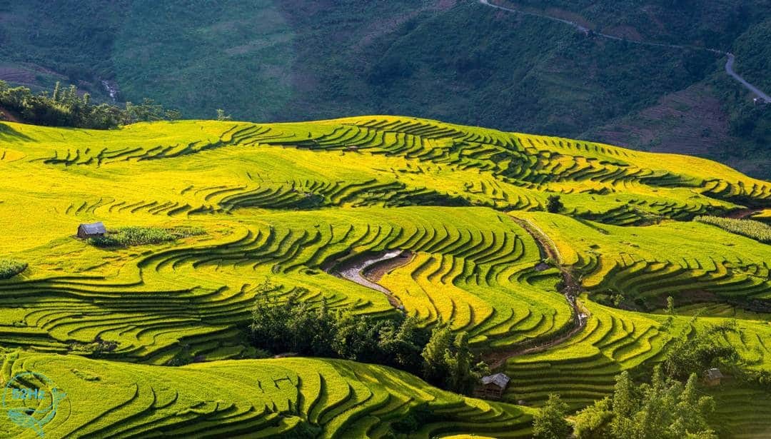 Y Ty Tour Rice Season Cloud Season