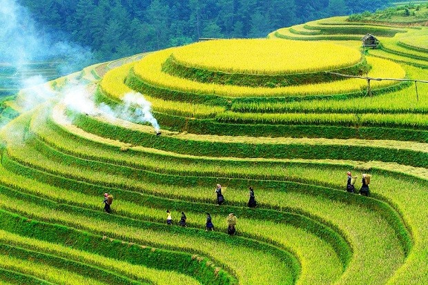 Tour Mu Cang Chai – Khau Pha Pass – Tu Le