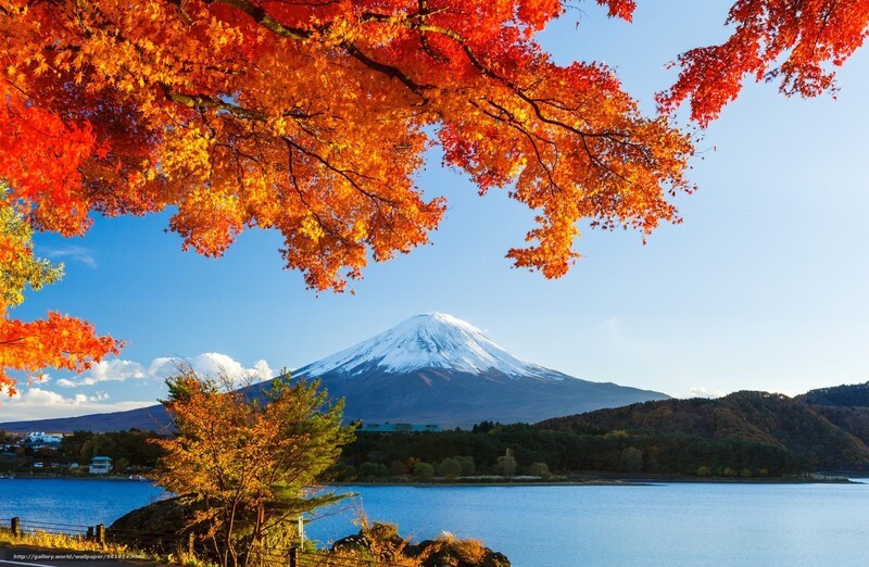 NHẬT BẢN MÙA THU: OSAKA - KOBE - NÚI PHÚ SĨ - TOKYO