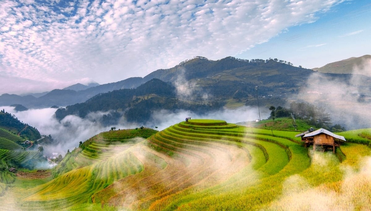 MÙ CANG CHẢI - TRẠM TẤU