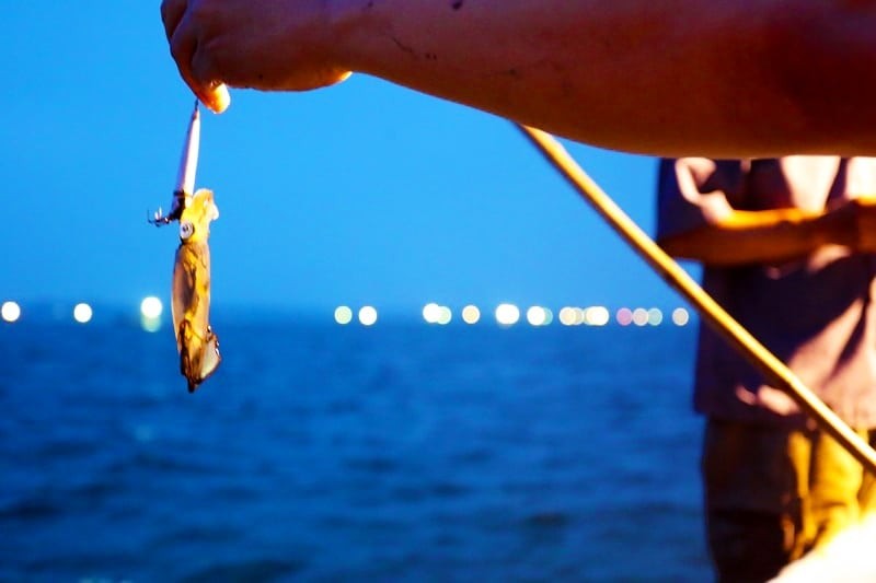 Squid Fishing