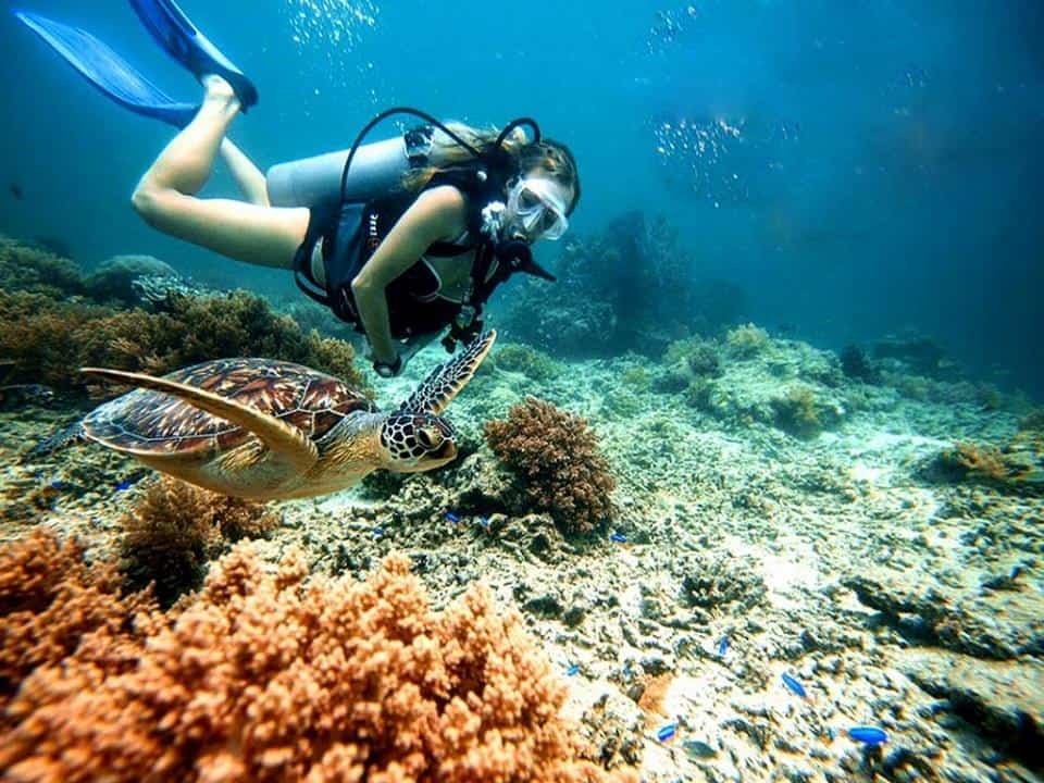 Scuba Diving